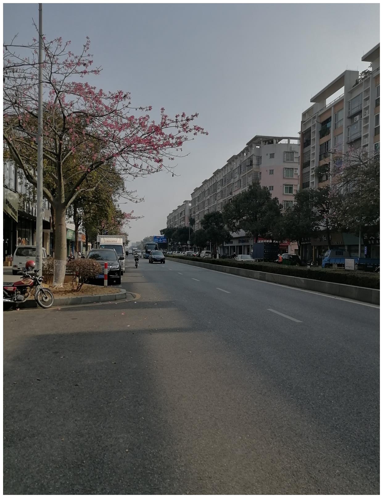佛山市顺德区勒流__财经头条