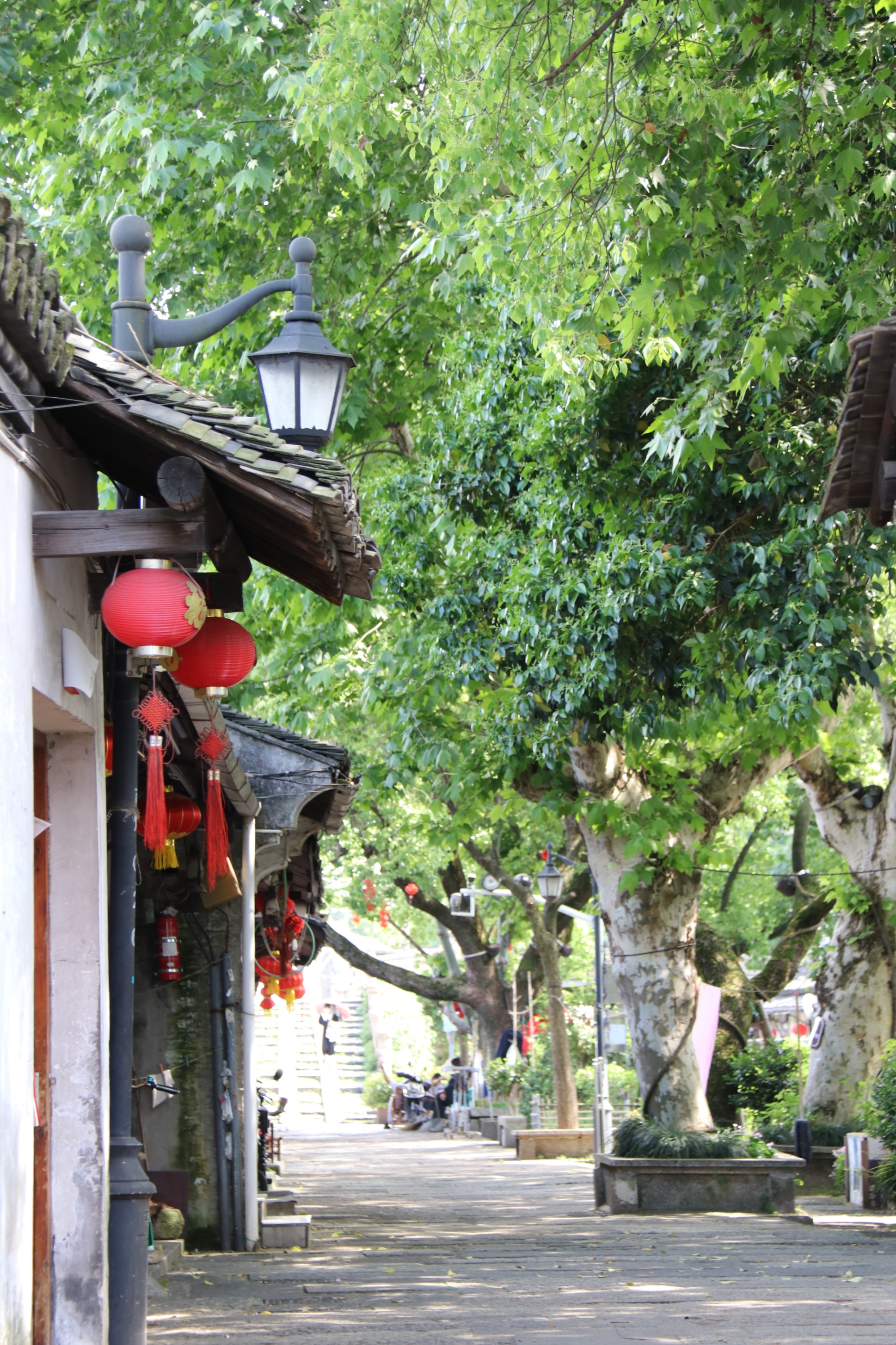 绍兴柯桥古镇旅游小记古街古巷古桥醉人文化气溢满人间烟火味