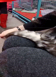 女友新买的裤子非要问我好不好看，我看完顿时感觉好饿啊哈哈哈哈休闲区蓝鸢梦想 - Www.slyday.coM