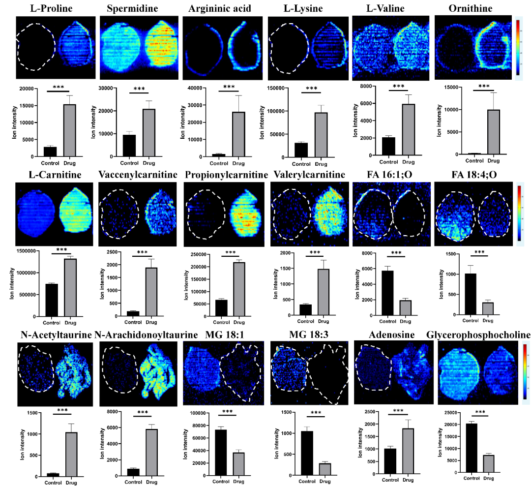 潜伏在人类身边的十种致命植物有哪些？...