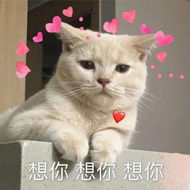 开心笑话:胯下之辱,话说我上一篇文章是不是发过这张图了休闲区蓝鸢梦想 - Www.slyday.coM 开心笑话:胯下之辱,话说我上一篇文章是不是发过这张图了休闲区蓝鸢梦想 - Www.slyday.coM