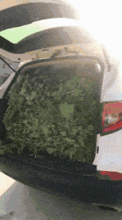 女友新买的裤子非要问我好不好看，我看完顿时感觉好饿啊哈哈哈哈休闲区蓝鸢梦想 - Www.slyday.coM