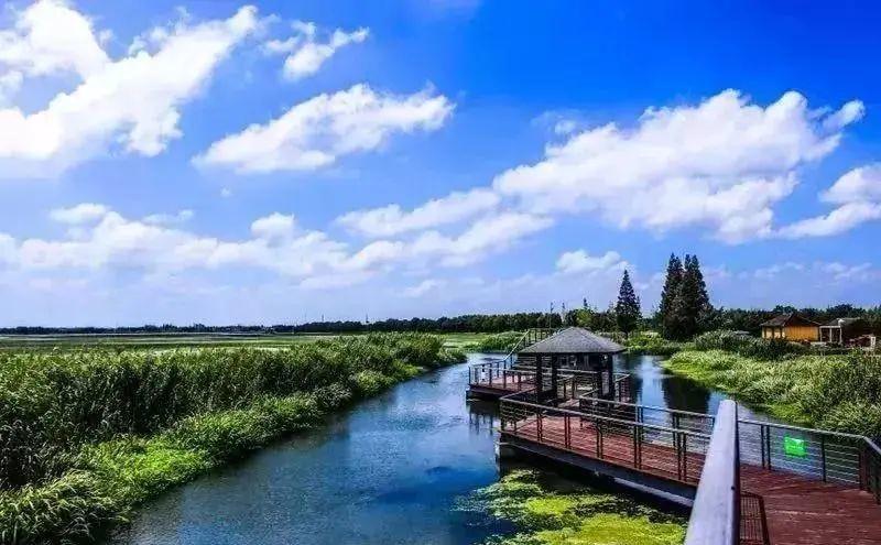 恭喜上海这11个村入围！第二批全国乡村旅游重点村名单公示！__财经头条