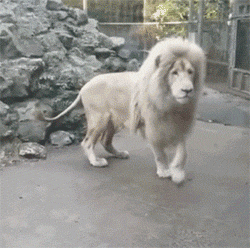 女友新买的裤子非要问我好不好看，我看完顿时感觉好饿啊哈哈哈哈休闲区蓝鸢梦想 - Www.slyday.coM