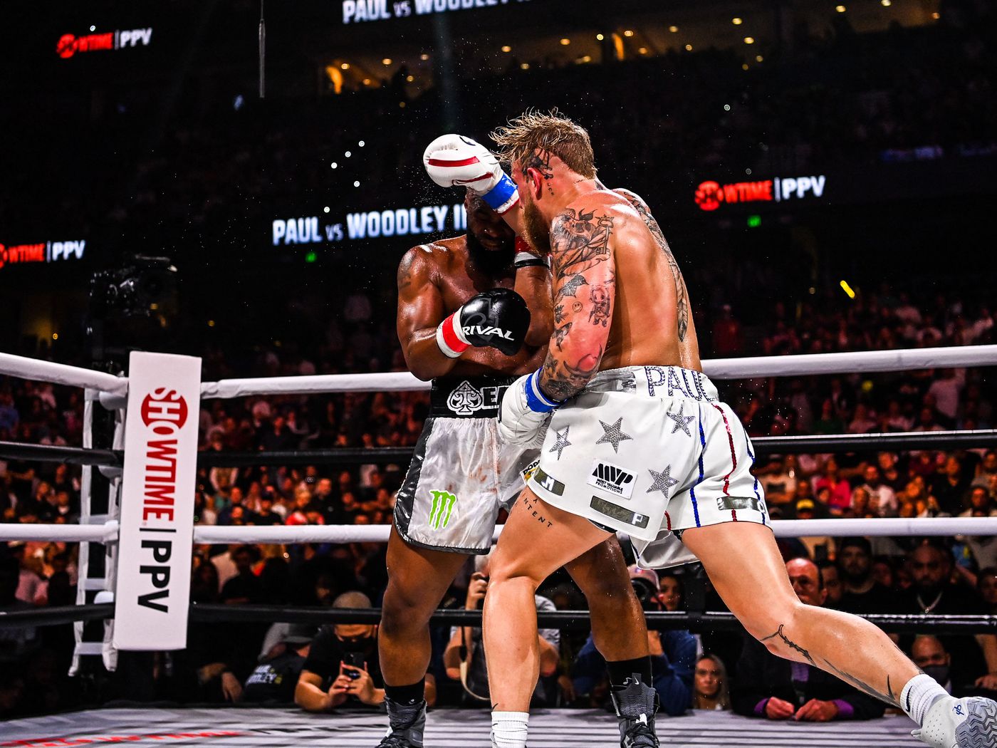 网红杰克-保罗二番战伍德利大获全胜|伍德利|保罗|冠军_新浪新闻