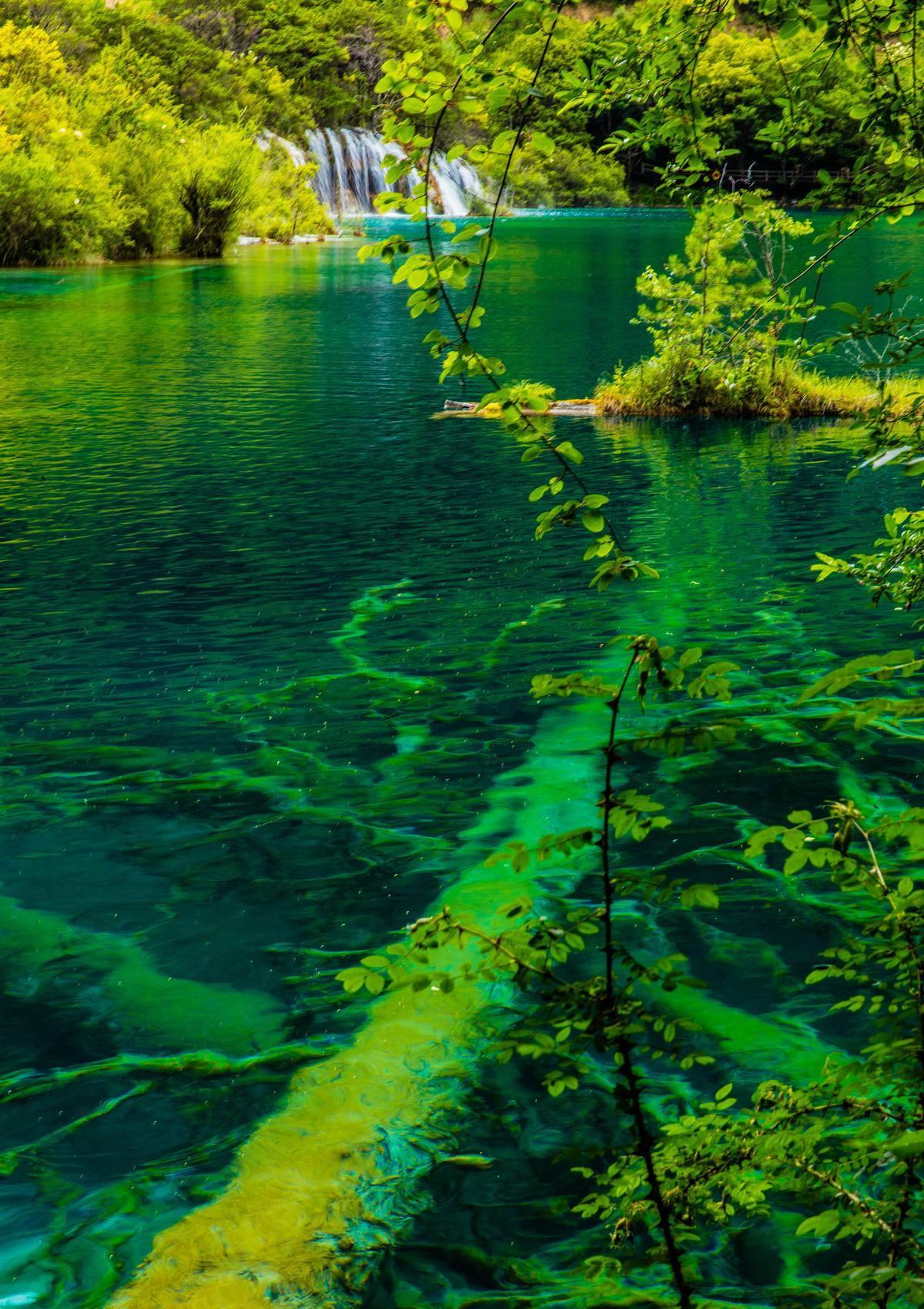 夏日的九寨沟!是你远行的必选地