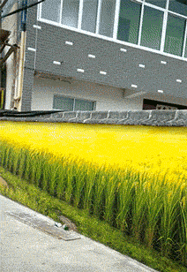 女友新买的裤子非要问我好不好看，我看完顿时感觉好饿啊哈哈哈哈休闲区蓝鸢梦想 - Www.slyday.coM