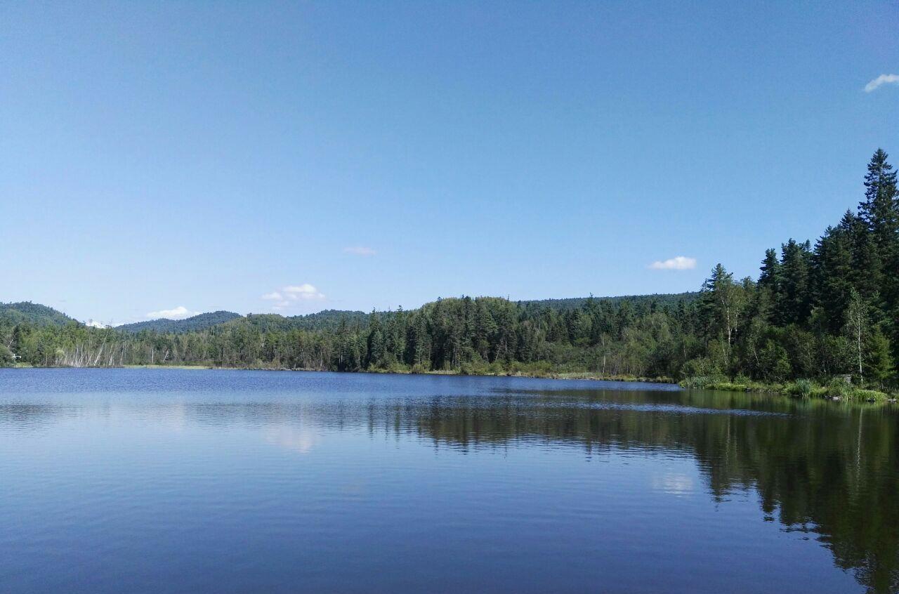 黑龙江省 伊春市 五营国家森林公园 夏日景色