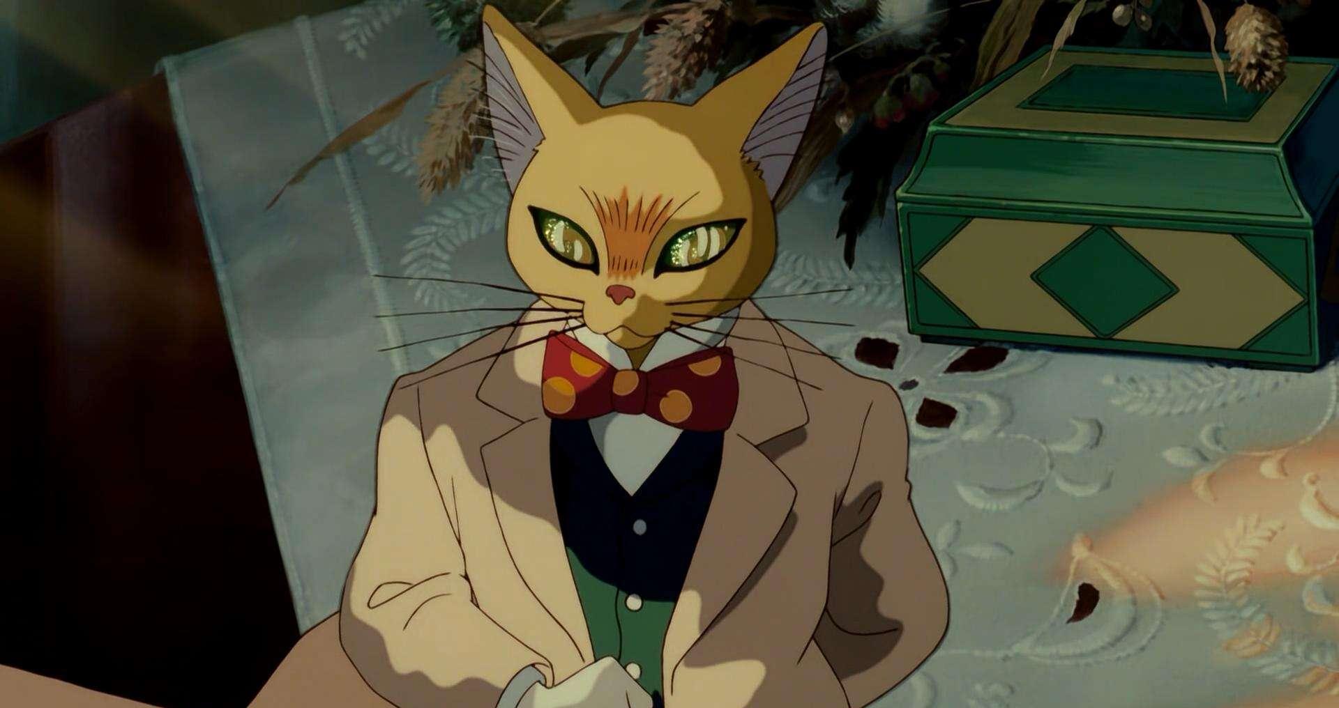 猫的报恩感恩变麻烦生活可以随心所欲但不能活成别人的样子