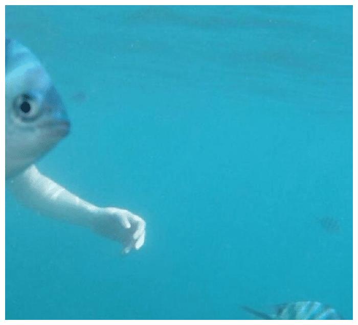 女友新买的裤子非要问我好不好看，我看完顿时感觉好饿啊哈哈哈哈休闲区蓝鸢梦想 - Www.slyday.coM