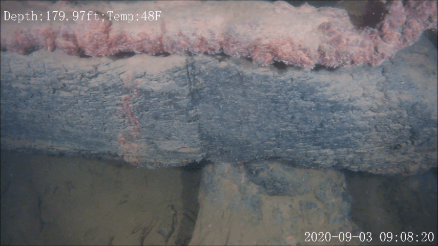 美国最古老的汽船,沉没事故至今成谜,最近有了新发现休闲区蓝鸢梦想 - Www.slyday.coM 美国最古老的汽船,沉没事故至今成谜,最近有了新发现休闲区蓝鸢梦想 - Www.slyday.coM