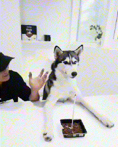 女友新买的裤子非要问我好不好看，我看完顿时感觉好饿啊哈哈哈哈休闲区蓝鸢梦想 - Www.slyday.coM