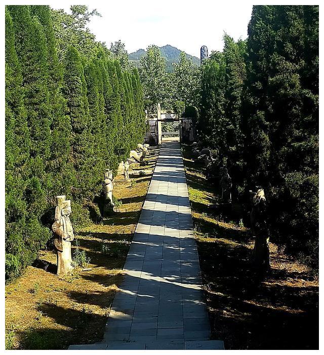 旅游##安化##陶澍陵园##游记#特别声明:以上文章内容仅代表作者本人