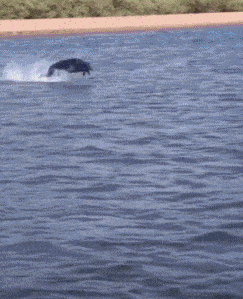 女友新买的裤子非要问我好不好看，我看完顿时感觉好饿啊哈哈哈哈休闲区蓝鸢梦想 - Www.slyday.coM