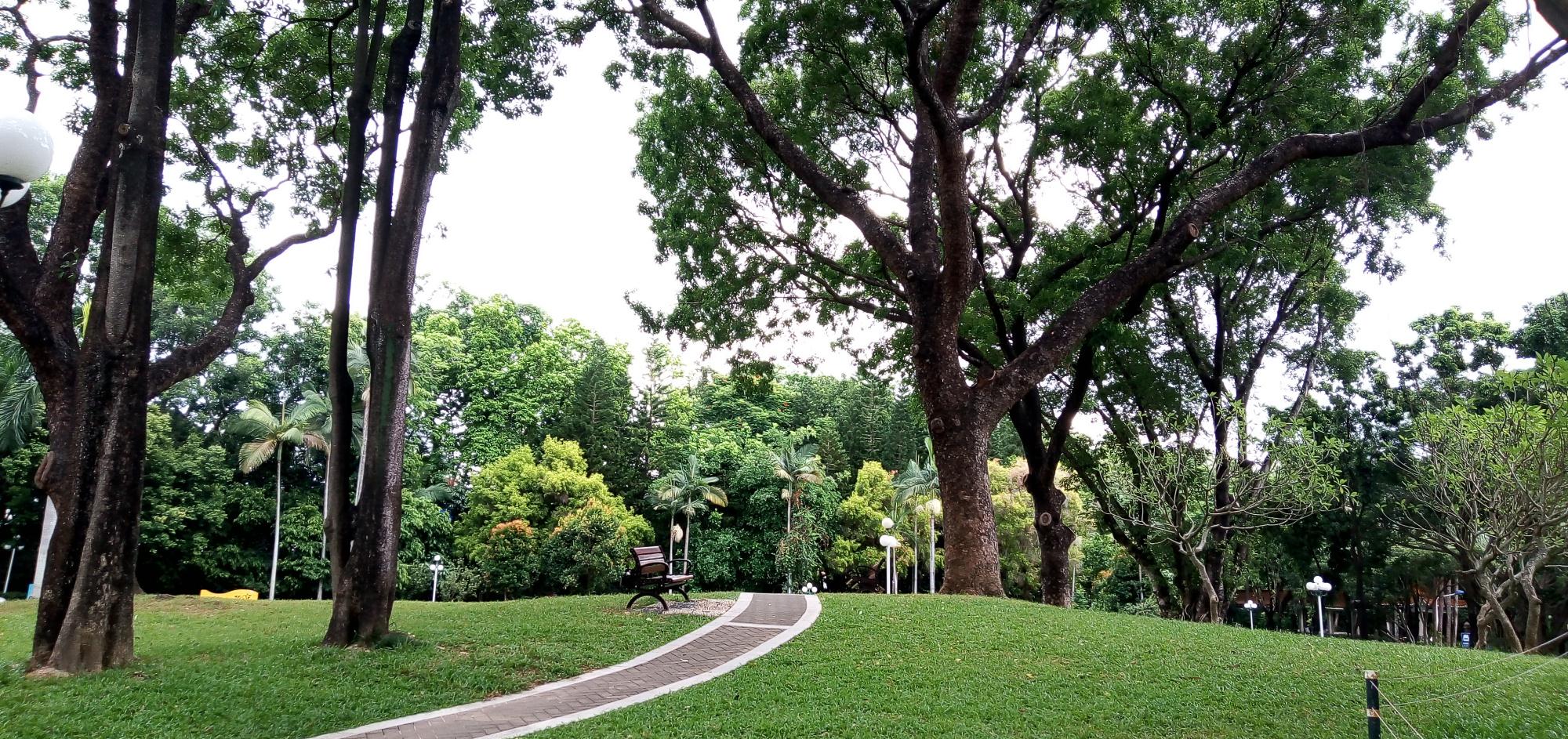 深圳市罗湖区人民公园的实拍,带你们去看看啦__财经头条