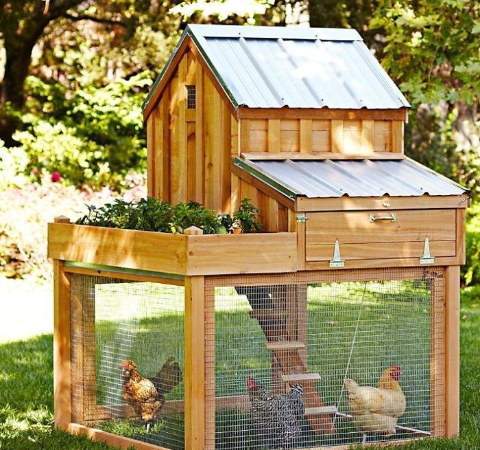 瞧瞧别人家的创意鸡舍,做鸡也太幸福了吧