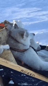 女友新买的裤子非要问我好不好看，我看完顿时感觉好饿啊哈哈哈哈休闲区蓝鸢梦想 - Www.slyday.coM