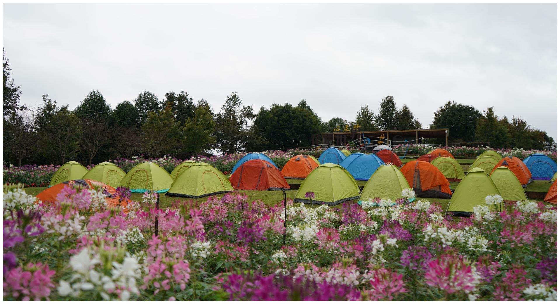 2020第十五届龙虎山花海音乐帐篷节激情开幕|户外运动|龙虎山|花海