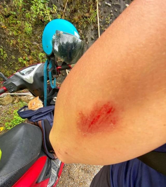 网友带宠物猫环岛旅游摔落山坡猫咪神救援引震惊一定要养