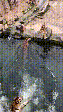 女友新买的裤子非要问我好不好看，我看完顿时感觉好饿啊哈哈哈哈休闲区蓝鸢梦想 - Www.slyday.coM