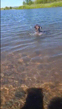 女友新买的裤子非要问我好不好看，我看完顿时感觉好饿啊哈哈哈哈休闲区蓝鸢梦想 - Www.slyday.coM