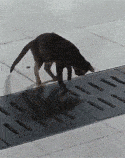 女友新买的裤子非要问我好不好看，我看完顿时感觉好饿啊哈哈哈哈休闲区蓝鸢梦想 - Www.slyday.coM