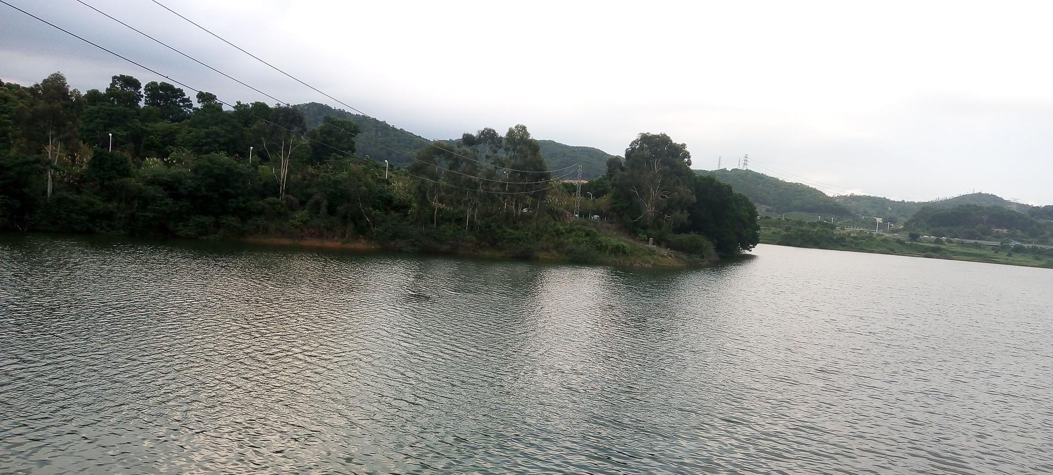 这段时间雨水多，东莞凤岗黄洞水库比平时也要绿得多了|东莞凤岗|水库|绿意_新浪新闻