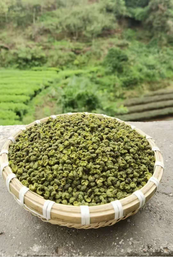 雅安名山青藤椒小藤椒飘香致富带动大产业