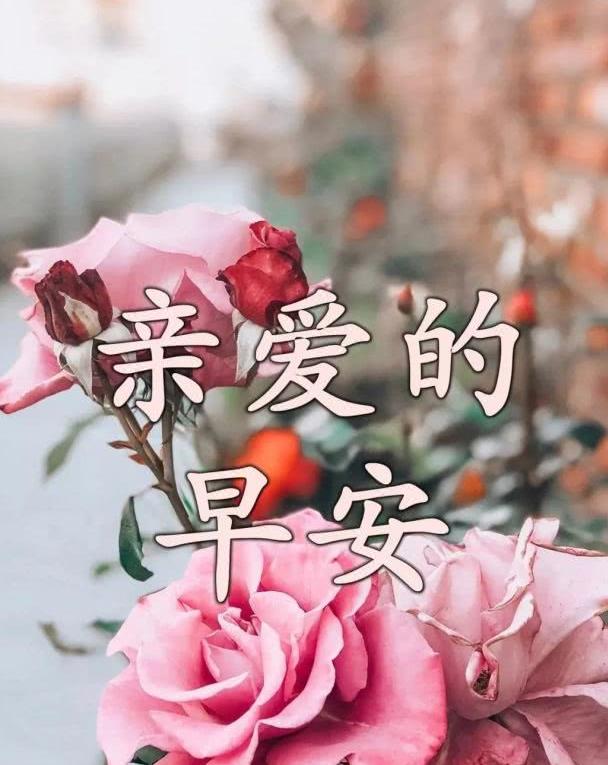 早上好表情动态图片大全2020早上问好的句子