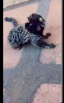 女友新买的裤子非要问我好不好看，我看完顿时感觉好饿啊哈哈哈哈休闲区蓝鸢梦想 - Www.slyday.coM