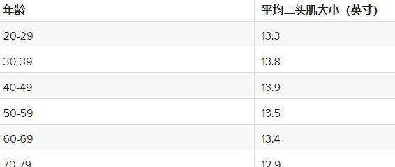 40厘米臂围被嘲笑是脂肪臂 那臂围练到多少才有不错视觉效果