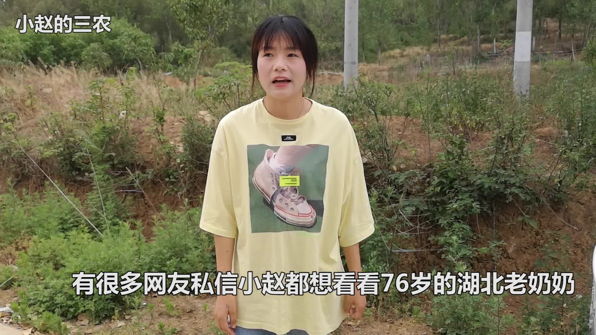 小赵去看望远嫁河南的湖北奶奶,给老人带的啥?老人笑得合不拢嘴