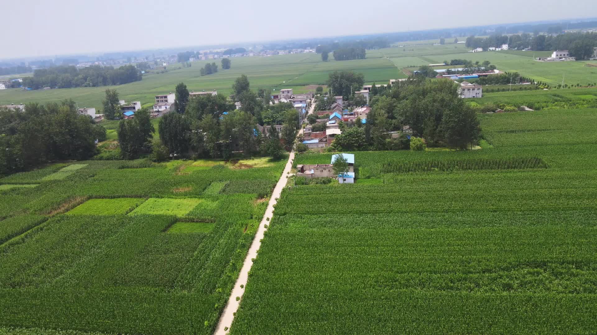 大崔庄,安徽省阜阳市界首市光武镇西南部