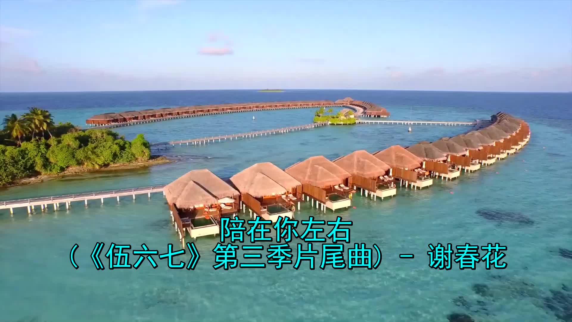 《谢春花-陪在你左右》