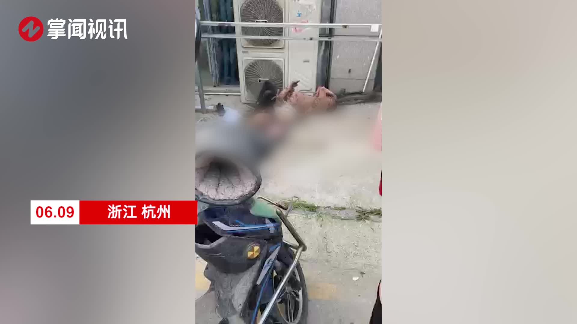 突发！杭州一市场内发生大火，有人从2楼跳下，目前已救出7人，其中5人受伤 | 每经网