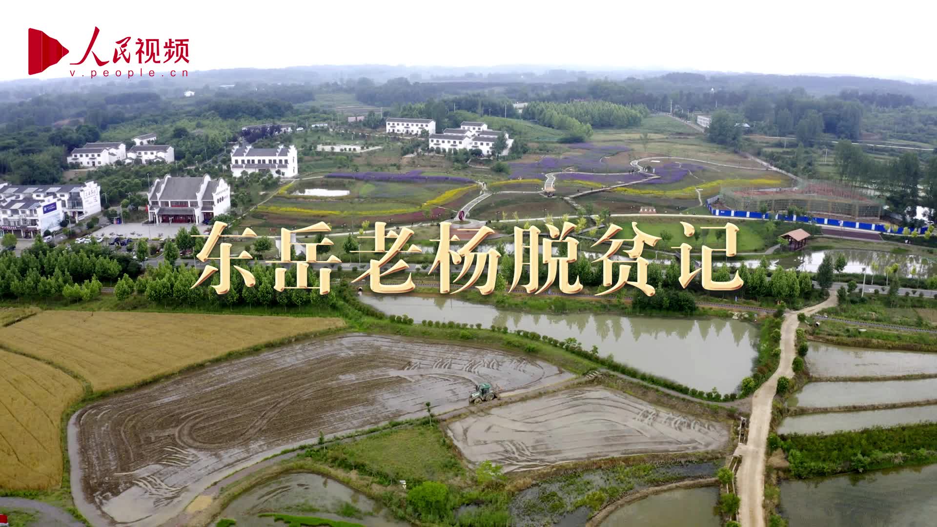 《跟着总书记看中国》21.河南篇 东岳老杨脱贫记