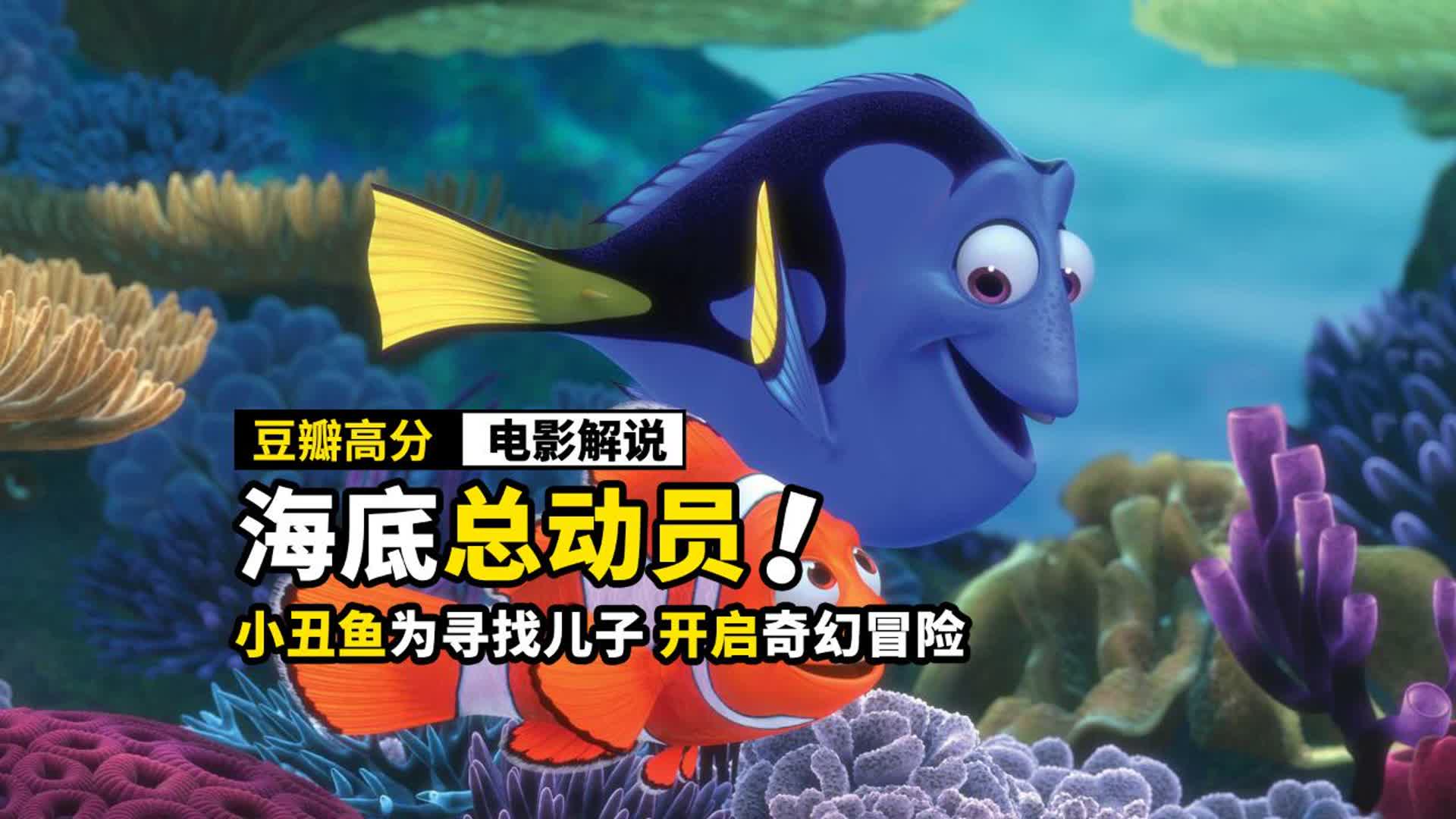 小丑鱼为了寻找孩子，竟然游了半个地球，动画电影《海底总动员》