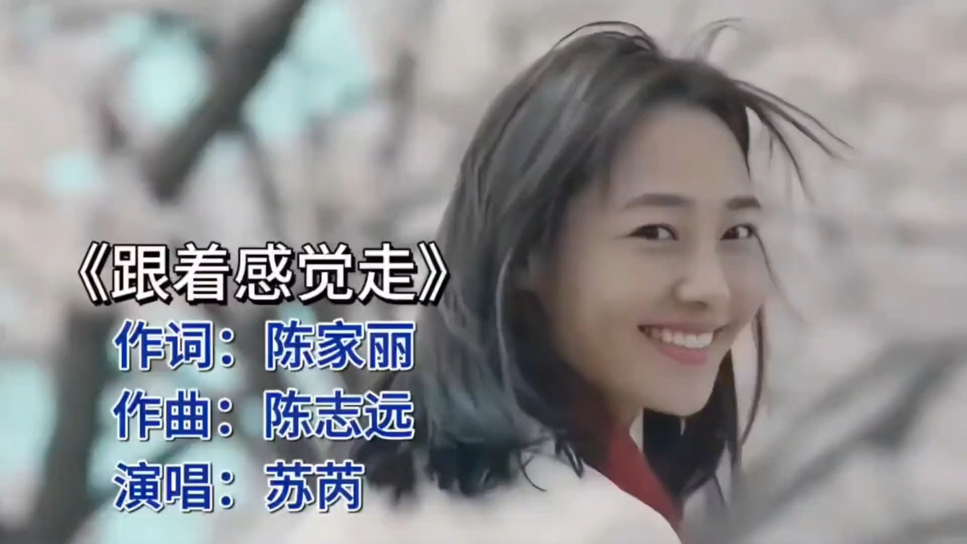 苏芮《跟着感觉走》，唤醒心灵深处的自由旋律