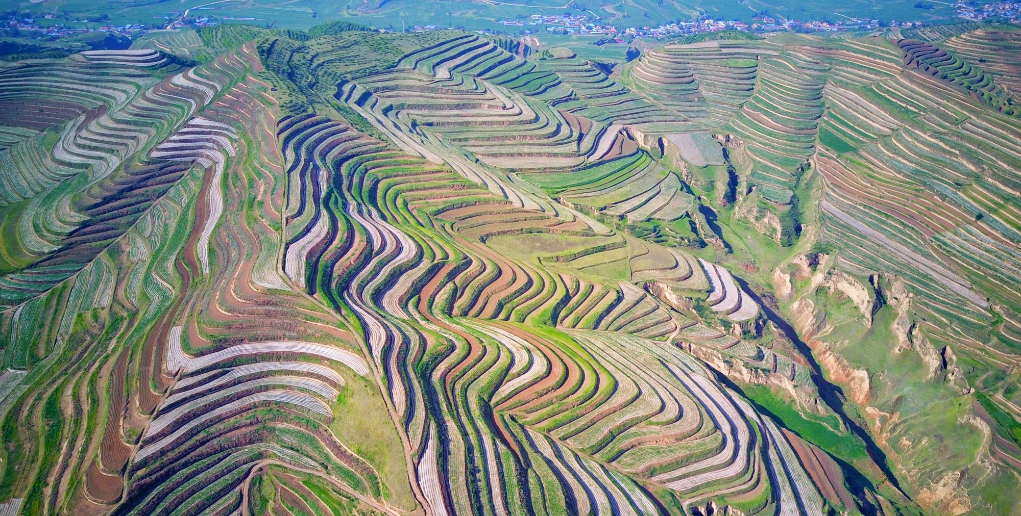 宁夏回族自治区西吉县董家窝坨梯田