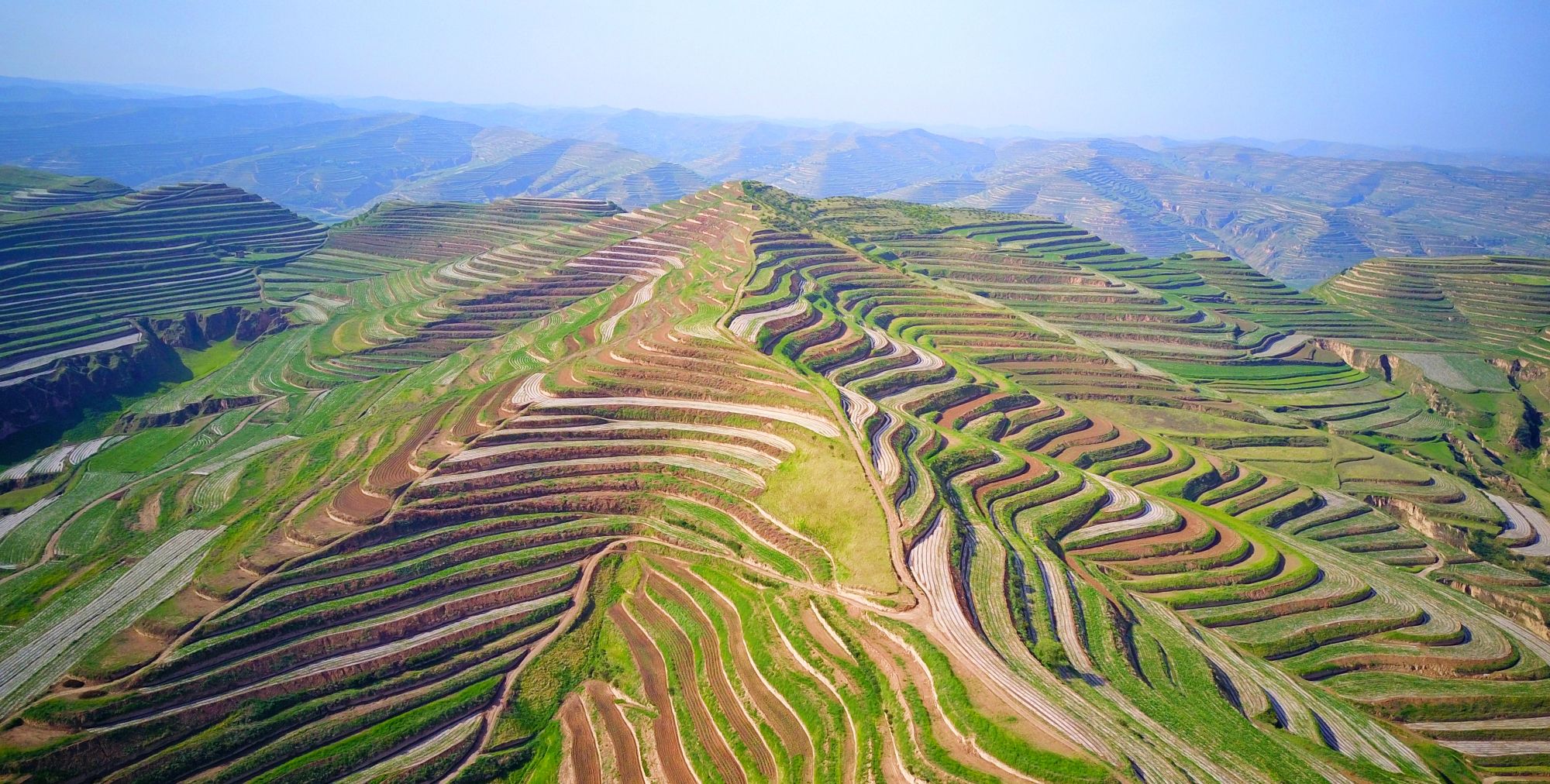 宁夏回族自治区西吉县董家窝坨梯田