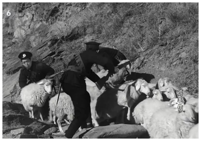 电影《鸡毛信》故事,真枪真子弹真走火,真爆破炸伤大导演