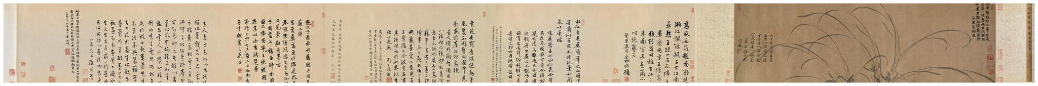 文徵明题画诗放大研读|赵孟坚|文徵明|墨兰_新浪新闻