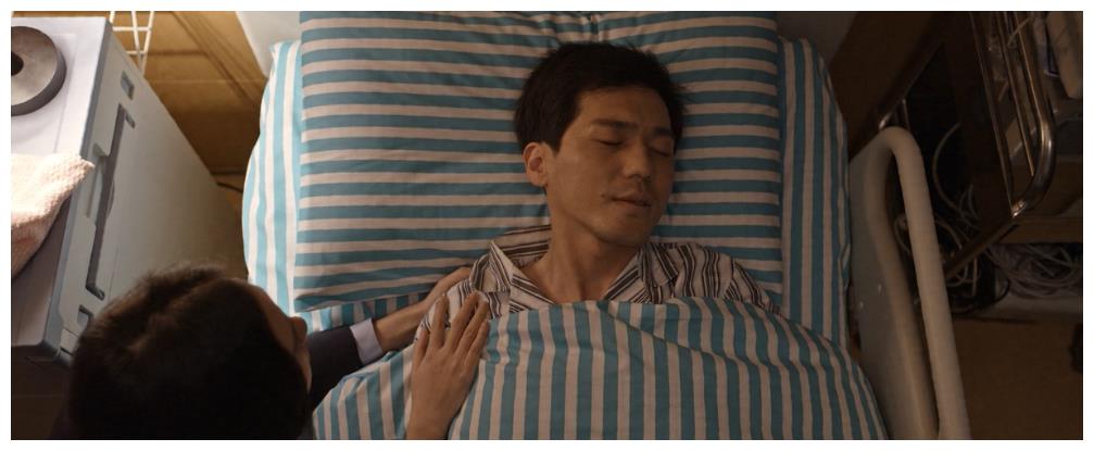 乔家的儿女：七七捐肾救大哥，乔祖望成功洗白，保姆结局大快人心休闲区蓝鸢梦想 - Www.slyday.coM