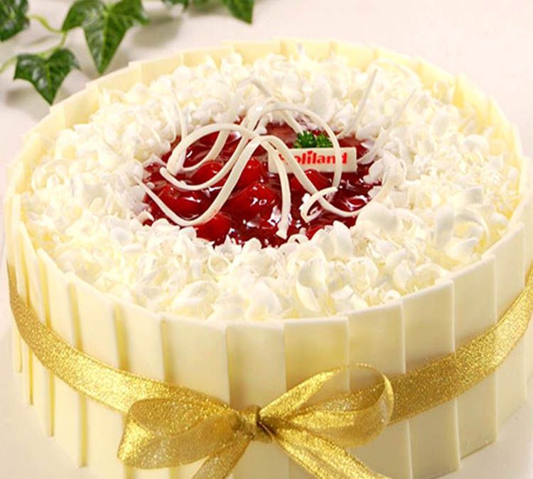 女士生日蛋糕图片大全(60岁女士生日蛋糕图片大全)