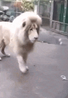 女友新买的裤子非要问我好不好看，我看完顿时感觉好饿啊哈哈哈哈休闲区蓝鸢梦想 - Www.slyday.coM