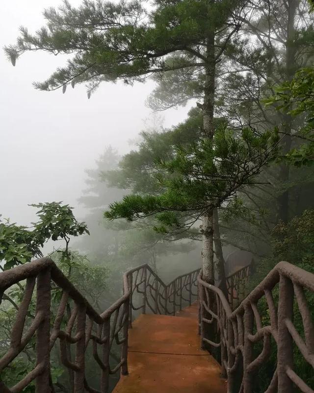 辽宁洗浴楼凤论坛到底靠不靠谱？2025年最新行业分析和用户体验全面解析