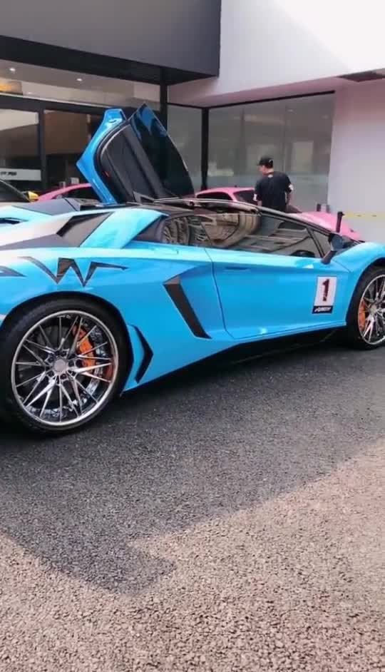 兰博基尼大牛的剪刀门真霸气你想要吗