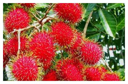 带有刺的外表下,藏着一堆丰富营养的果实,红毛丹功效真的强!