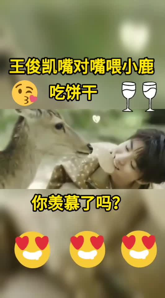 王俊凯嘴对嘴喂小鹿吃饼干你不羡慕吗