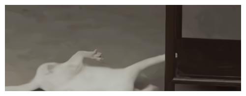 猫主人也说谎?《当家主母》群演爆料:猫咪拍摄当天就已被电死休闲区蓝鸢梦想 - Www.slyday.coM 猫主人也说谎?《当家主母》群演爆料:猫咪拍摄当天就已被电死休闲区蓝鸢梦想 - Www.slyday.coM